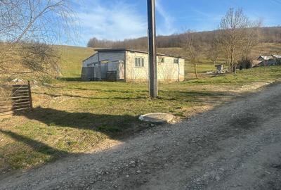 Teren de 2000 mp, în Ghirișu Român - 6