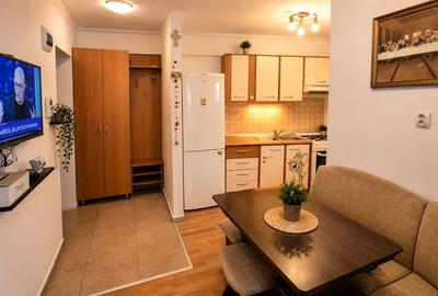 Apartament cu 2 camere decomandat, mobilat în Turnișor - 1