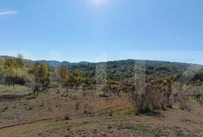 Teren de 7382 mp, în Central - 7