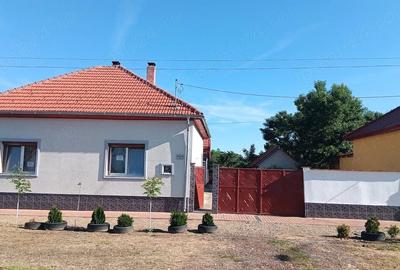 Casă cu 3 camere cu Teren 1471 Mp în Central - 2