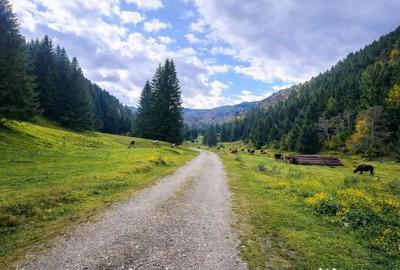 Teren în Zărnești - 2