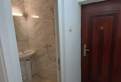 Garsonieră în Ultracentral - 1