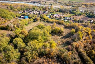 Teren intravilan 15267m2 Teren intravilan 15267m2 - 1