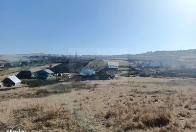 Spațiu comercial, în Oglinzi - 4