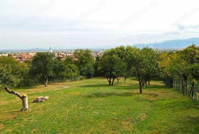 Teren Extravilan/Intravilan 3290 mp Codlea - 4