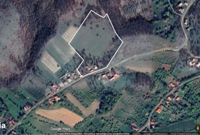 Teren de 17800 mp, în Sâg - 1