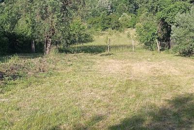 Casă cu 4 camere cu Teren 7400 Mp în Aciuța - 5