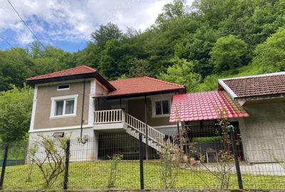 Casă cu 3 camere în Criș - 1