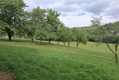 Spațiu comercial, în Feleacu