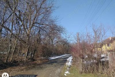 Teren de 2950 mp, în Remetea Chioarului - 2