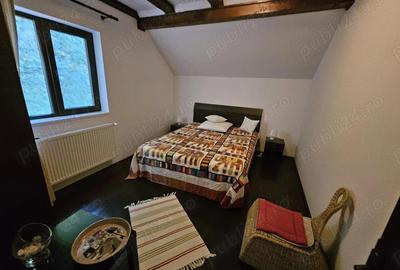 Casă cu 5 camere cu Teren 6842 Mp în Brădetu - 15