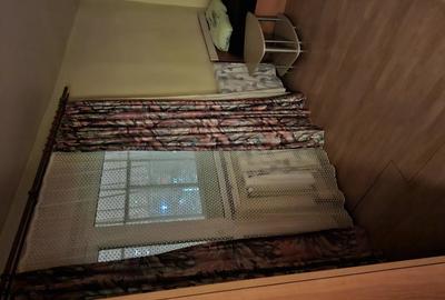 Garsonieră decomandată în Craiovița Nouă - 3