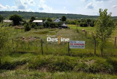 Casă cu 5 camere cu Piscina în Stânca (Comarna) - 4