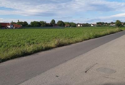 Teren de 2325 mp, în Ilieni - 1
