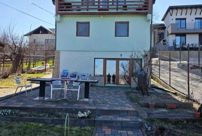Casă cu 4 camere cu Teren 1650 Mp în Făget - 6