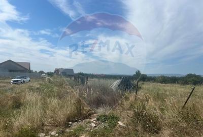 Teren Construcții intravilan de 923 mp, în Golești - 4