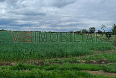 Teren intravilan de 31900 mp, în Corbeanca - 2