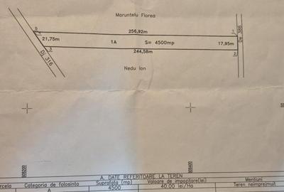 Teren Intravilan Branesti 4500mp Acces Asfalt si A2- deschidere 22ml - 9