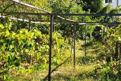 Casă spațioasă cu 9 camere, 800 mp teren – zonă centrală Orșova Casă spațioasă cu 9 camere, 800 mp teren – zonă centrală Orșova - 3