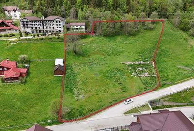 Teren Construcții intravilan de 10000 mp, în Sătic - 1