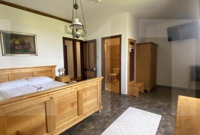Conac de vanzare 7 camere, baie proprie, crama, ciubar si potential - 9