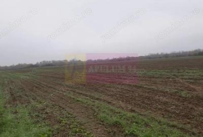 Teren Investi?ie aproape de Bucure?ti - 6