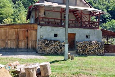 Casă cu 3 camere cu Teren 2000 Mp în Toplița - 8