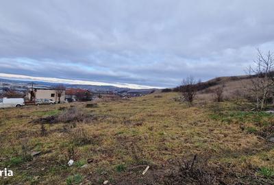 Spațiu comercial, în Sânnicoară - 10