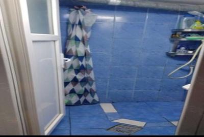 Casa la curte, intre statia de metrou Dristor si parcul IOR, negociabil - 7