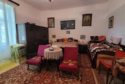 Casă cu 3 camere cu Teren 1434 Mp în Satchinez - 3
