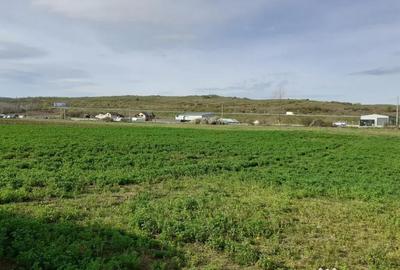 Teren de 900 mp, în Luna - 1