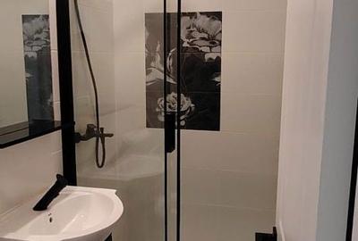 Apartament cu 2 camere semidecomandat în Griviței - 5