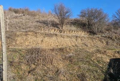 Teren de 868 mp, în Schitu - 1