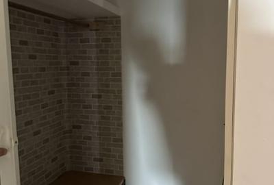 Vila 330 mp utili + 970 mp teren, zona Independentei - 9