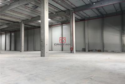 Spațiu comercial, de 10,000 mp, în Bolintin-Deal - 6