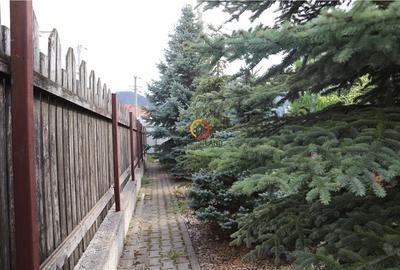 Constructii si teren  intravilan18.000 mp - 8