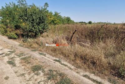 Teren de 1773 mp, în Toboliu - 7