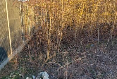 Spațiu comercial, în Islaz - 4