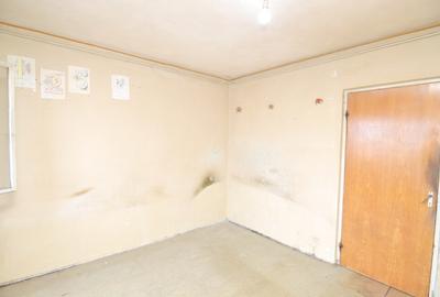 Baba Novac, Campia Libertatii - 3