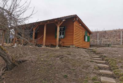 Casă cu 2 camere în Fântânele - 5