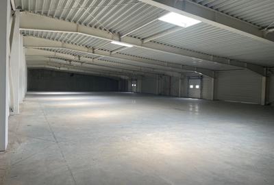 Hala de vanzare, situata in Sanandrei, judetul Timis - 8