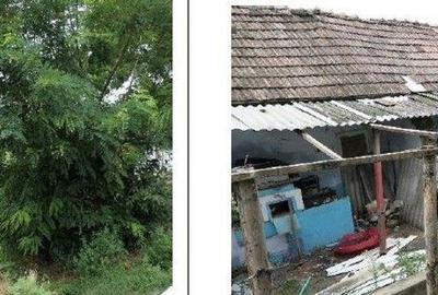 Casa si teren Costinesti, Botosani, ID: R2728052 - 16