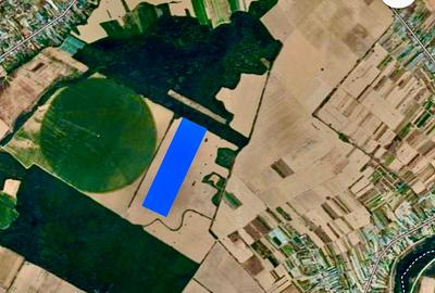 Teren Construcții intravilan de 39000 mp, în Copăceni - 2
