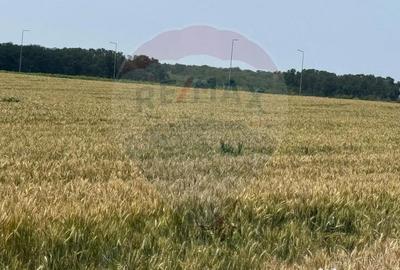 Teren de 10164 mp, în Vadu Anei