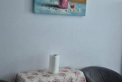 Garsonieră decomandată în Burdujeni - 4