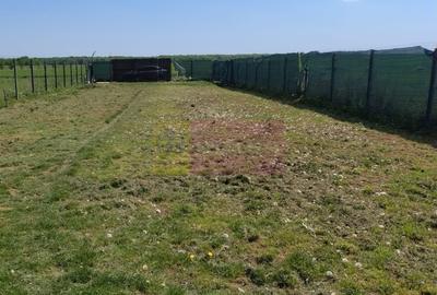 Teren cu constructie de vanzare in Urleta - 6