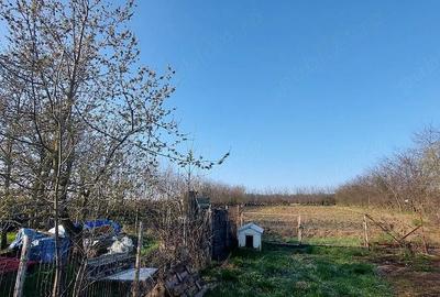 Casă cu 5 camere cu Teren 1500 Mp în Central - 5