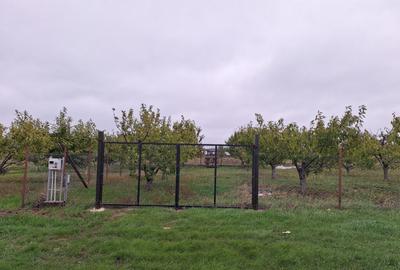 Teren intravilan - 4