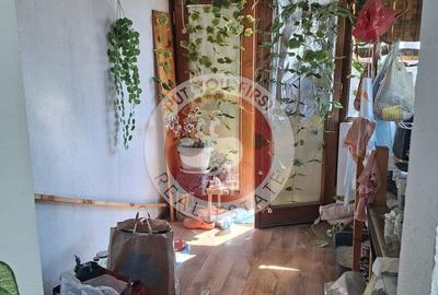 Facultatea artelor | Studio | 44mp | Semidec | B12089 - 2