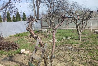 Casă cu 5 camere în Central - 8